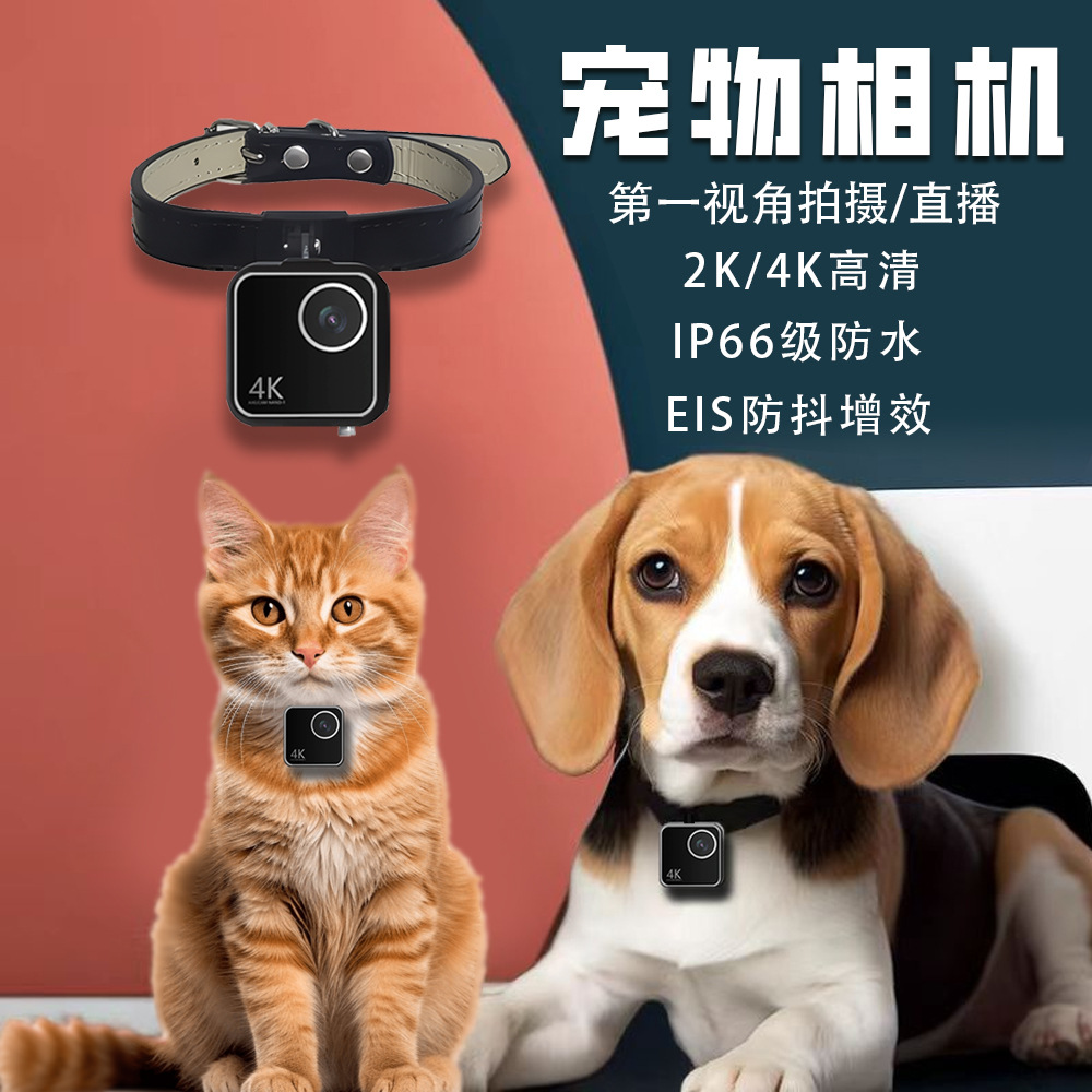 Kamera leher pintar untuk hewa - Cameras ulasan dan harga